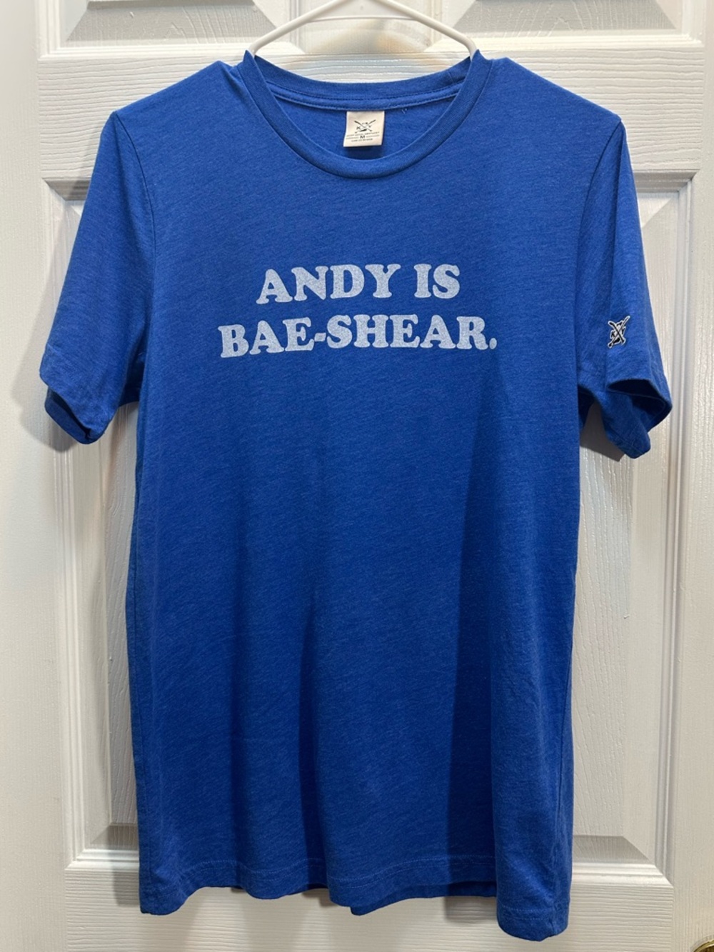 Blue Graphic Crewneck T-Shirt - Andy Is Bae-Shear Andy Beshear Kentucky Governor